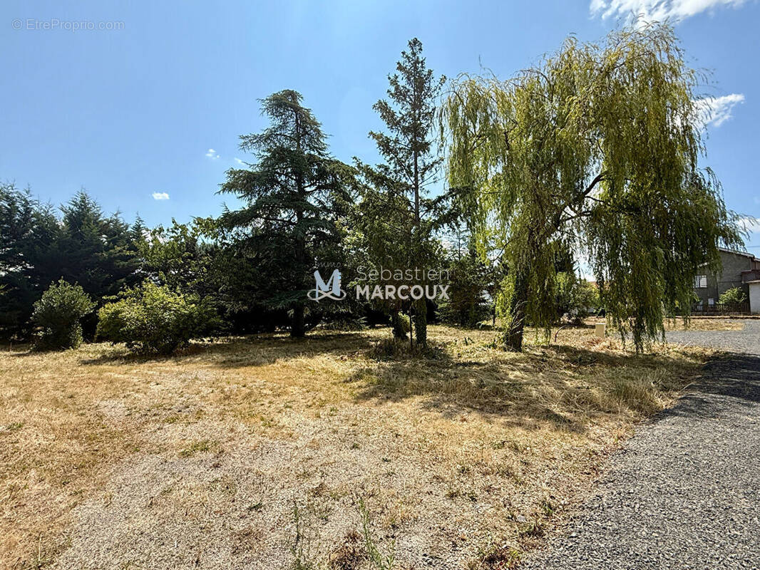 Terrain à SAVIGNEUX