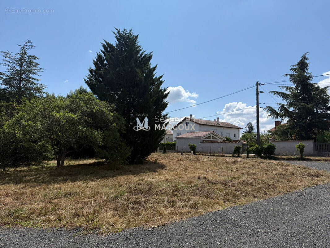 Terrain à SAVIGNEUX