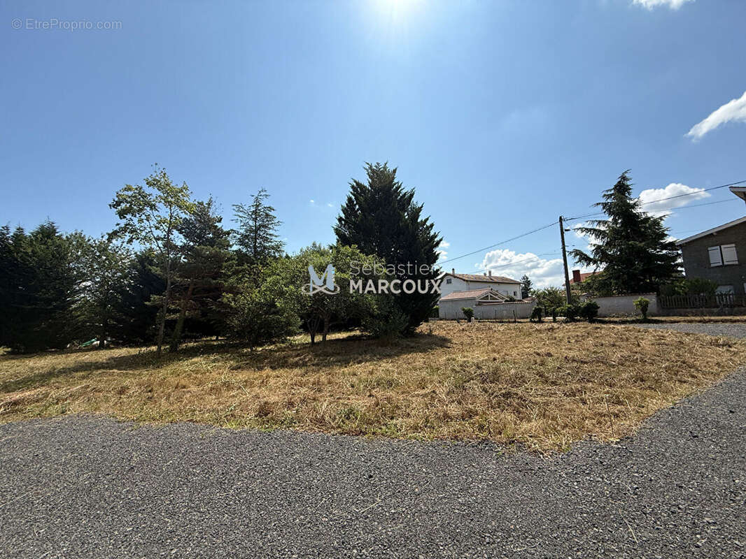 Terrain à SAVIGNEUX