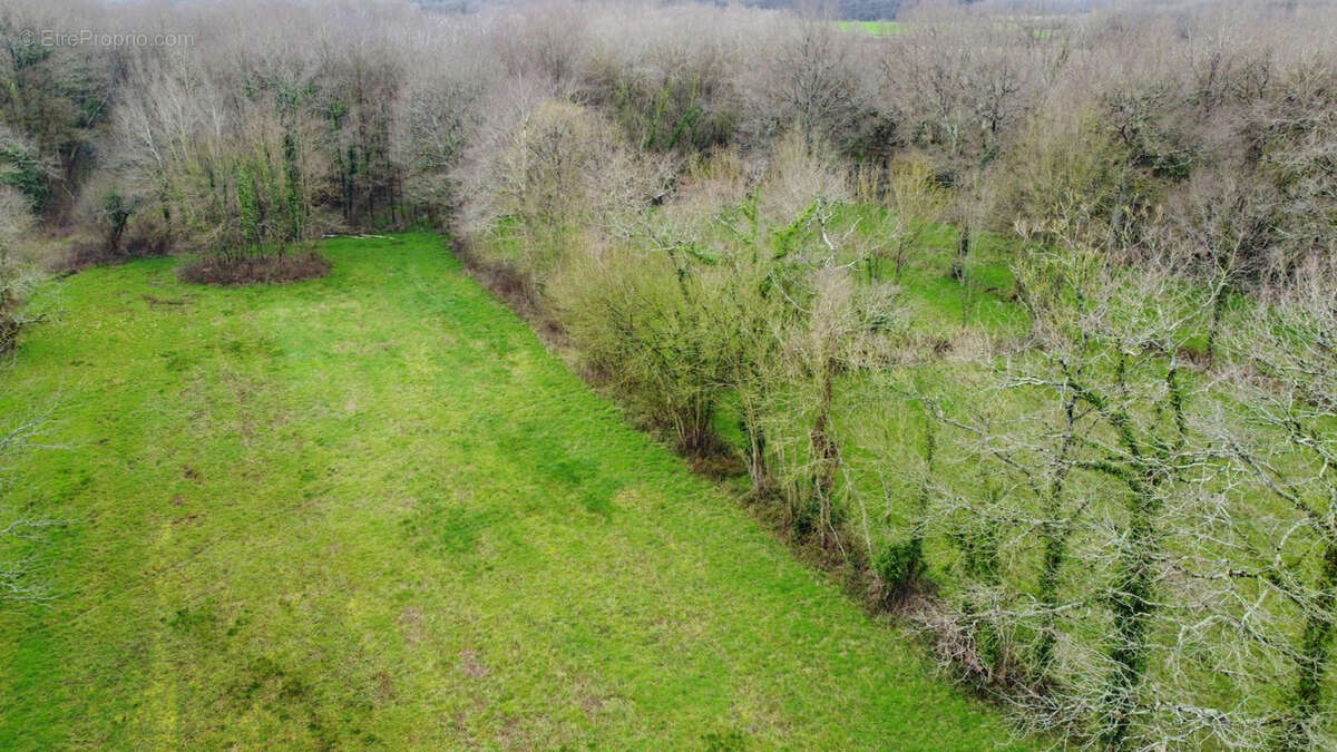 Maison à LE CELLIER
