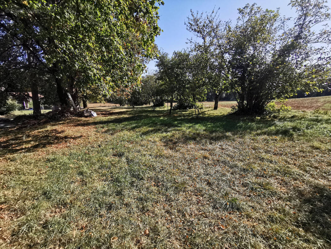 Terrain à L&#039;ISLE-JOURDAIN