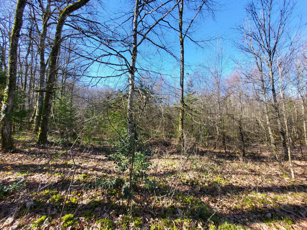 Terrain à LATRONQUIERE