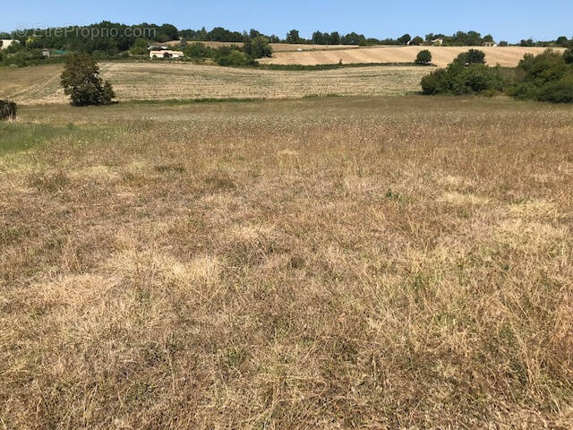 Terrain à SAUVAGNAS