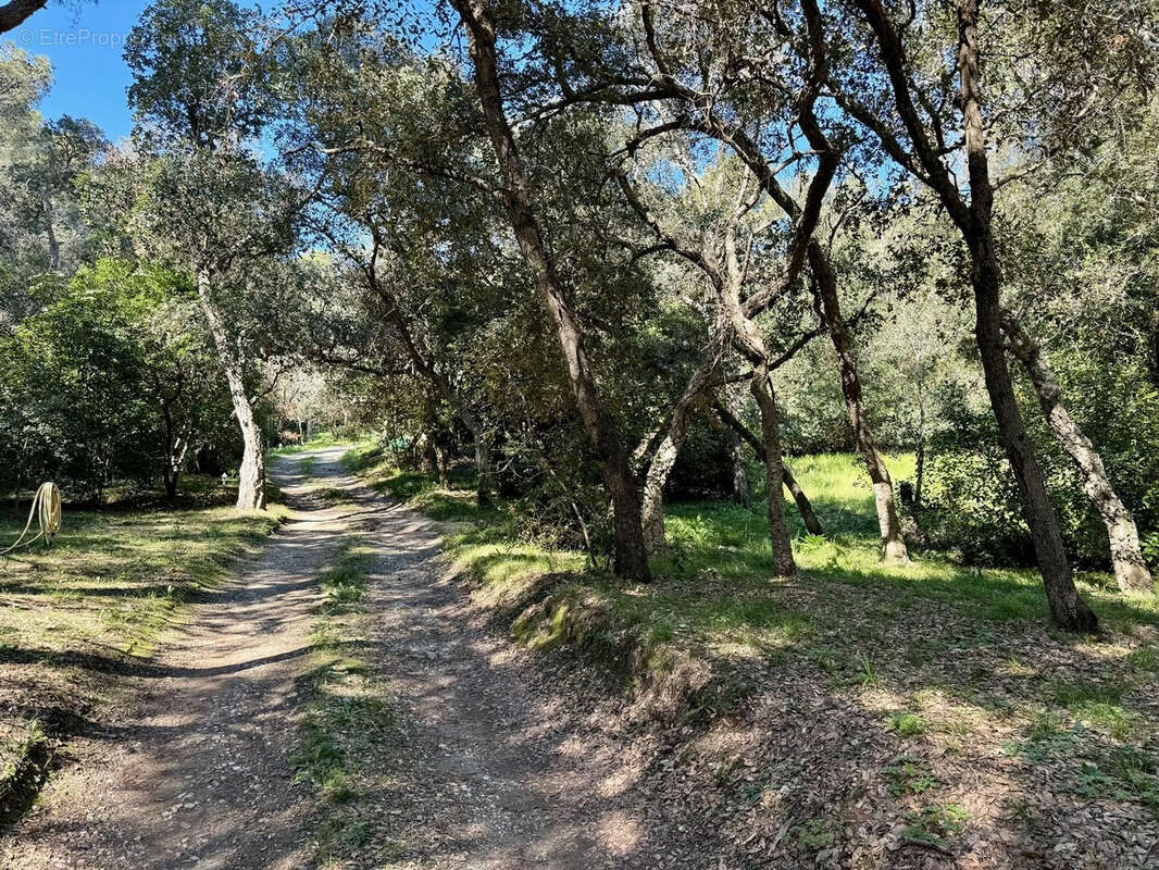 Maison à SIX-FOURS-LES-PLAGES