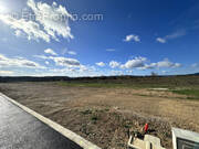Terrain à FERRALS-LES-CORBIERES