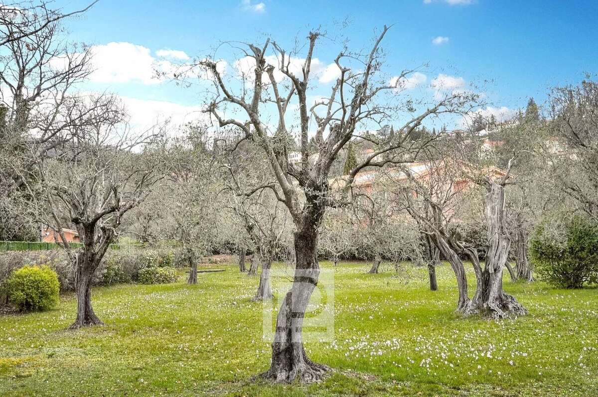 Maison à CHATEAUNEUF-GRASSE
