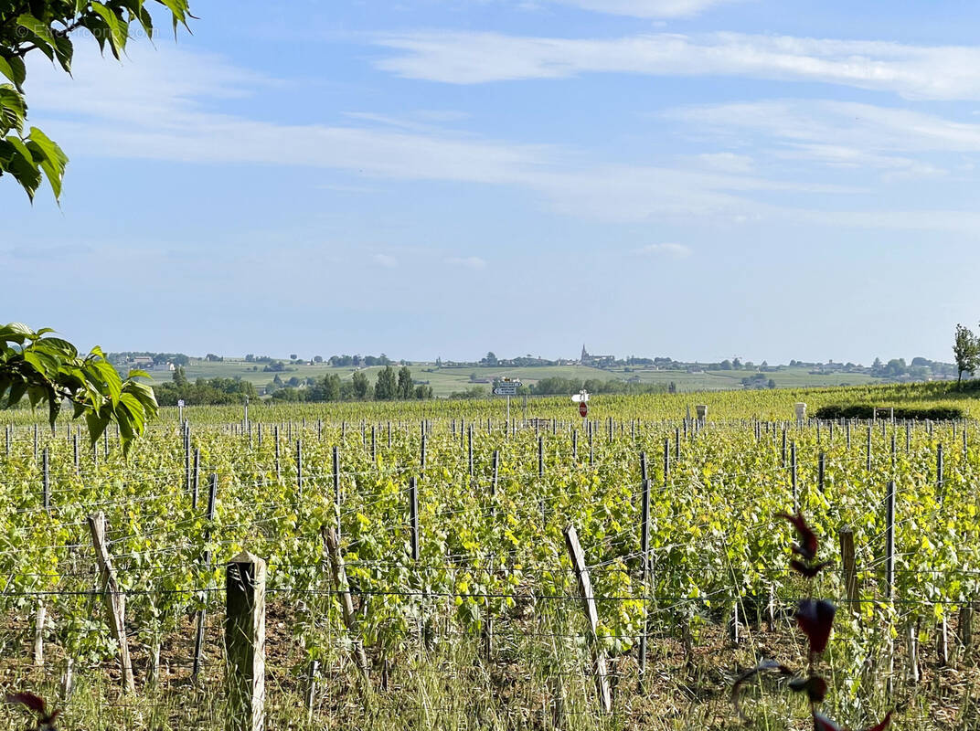 Terrain à POMEROL