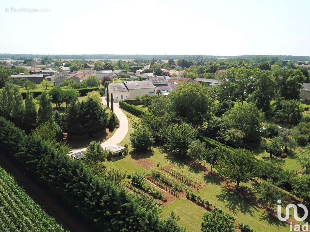 Photo 4 - Maison à SAINT-GEORGES-LES-BAILLARGEAUX