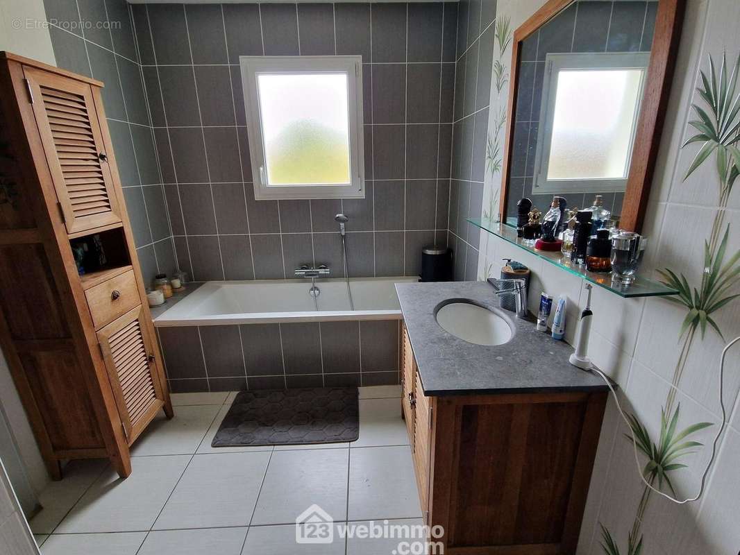 Pièce d&#039;eau avec douche et baignoire - Maison à VENANSAULT