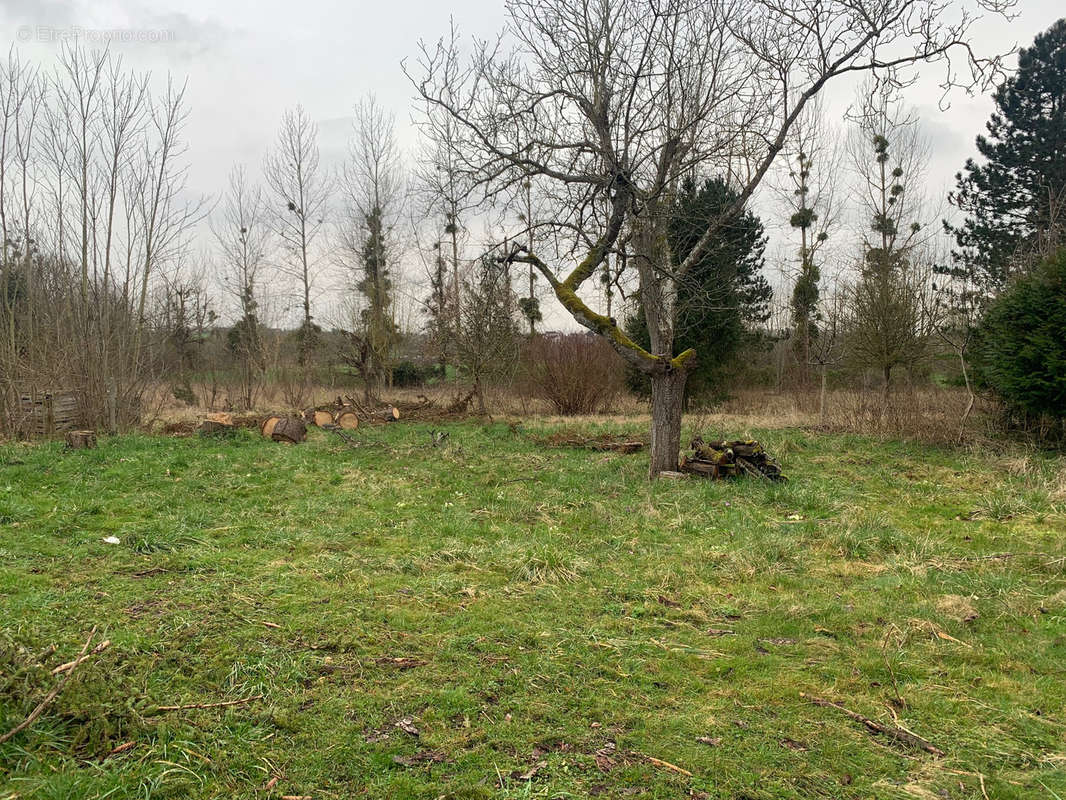 Terrain à CHAUMONT