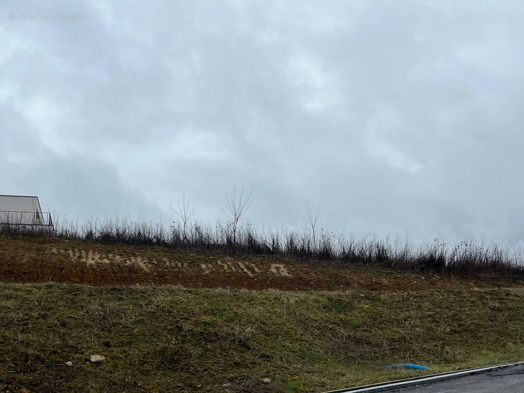 Terrain à BRUNSTATT