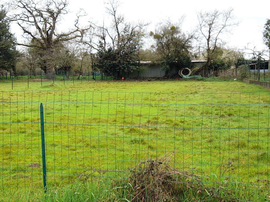 Terrain à LE CELLIER