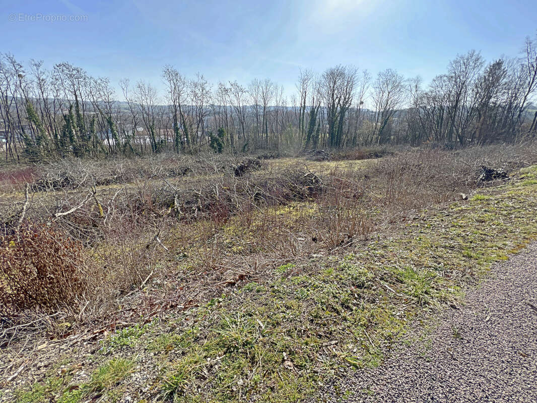 Terrain à POUSSAY