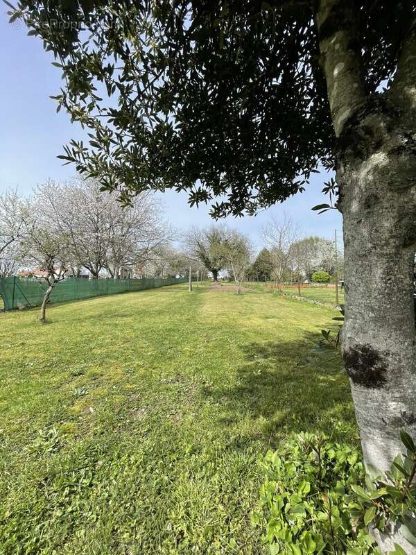 Maison à SOUGY-SUR-LOIRE
