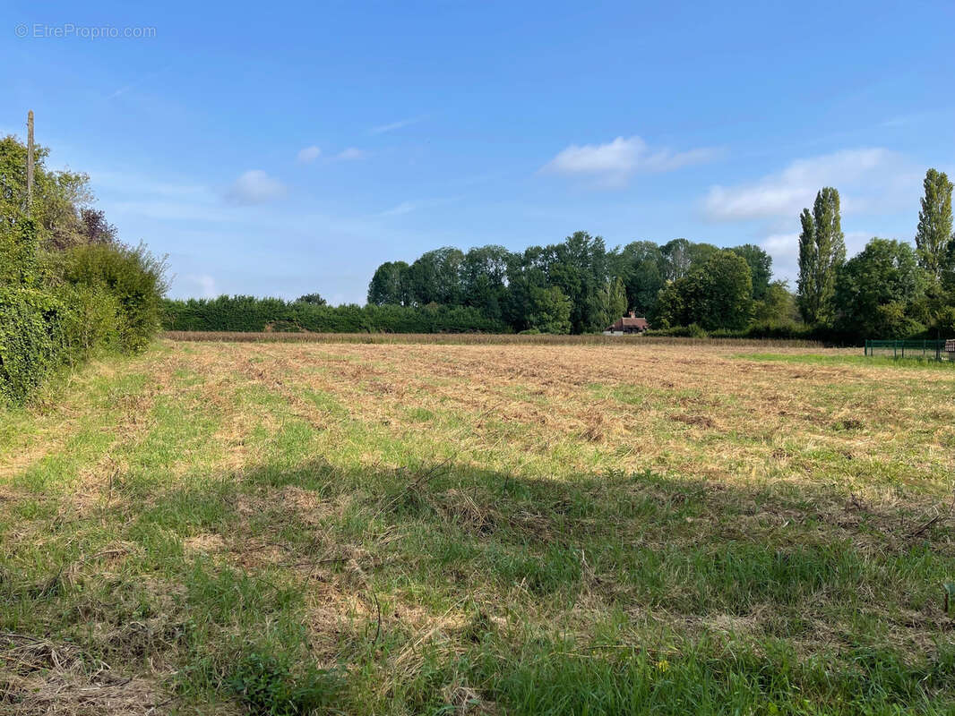 Terrain à VILLEMEREUIL