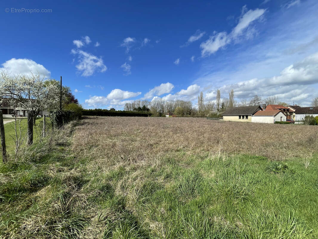 Terrain à VILLEMEREUIL