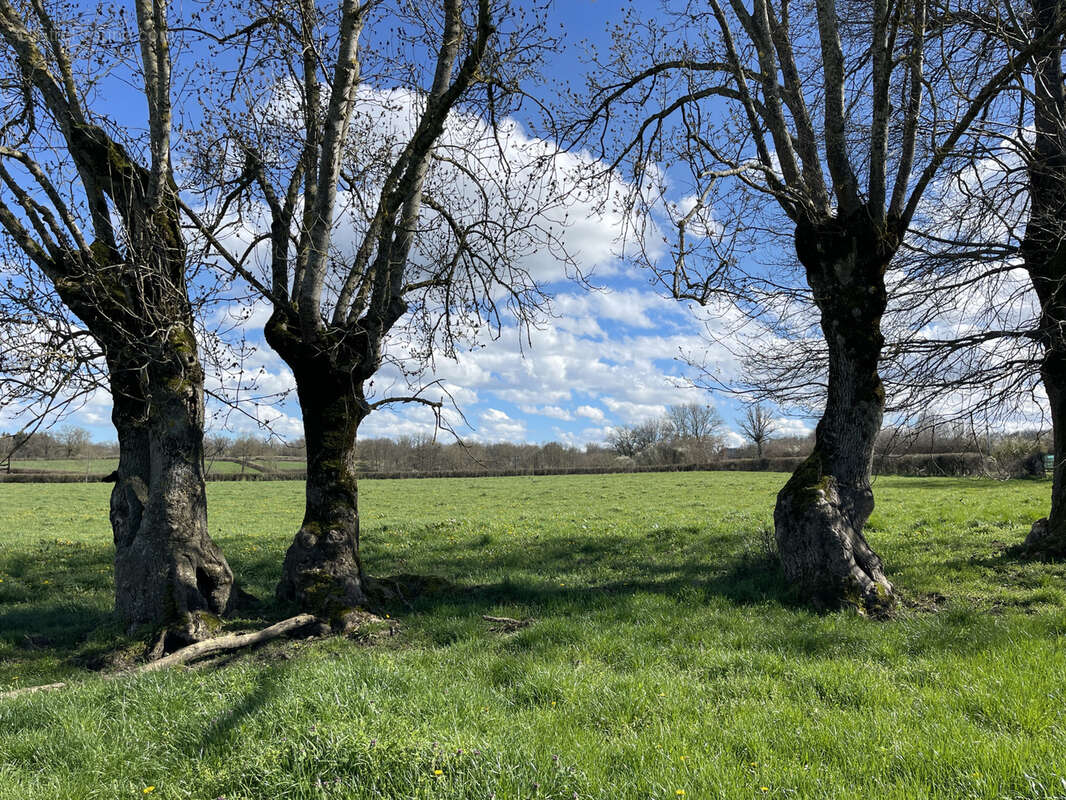 Maison à MARCILLAT-EN-COMBRAILLE