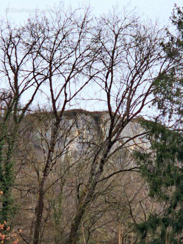 Terrain à PONT-DE-ROIDE