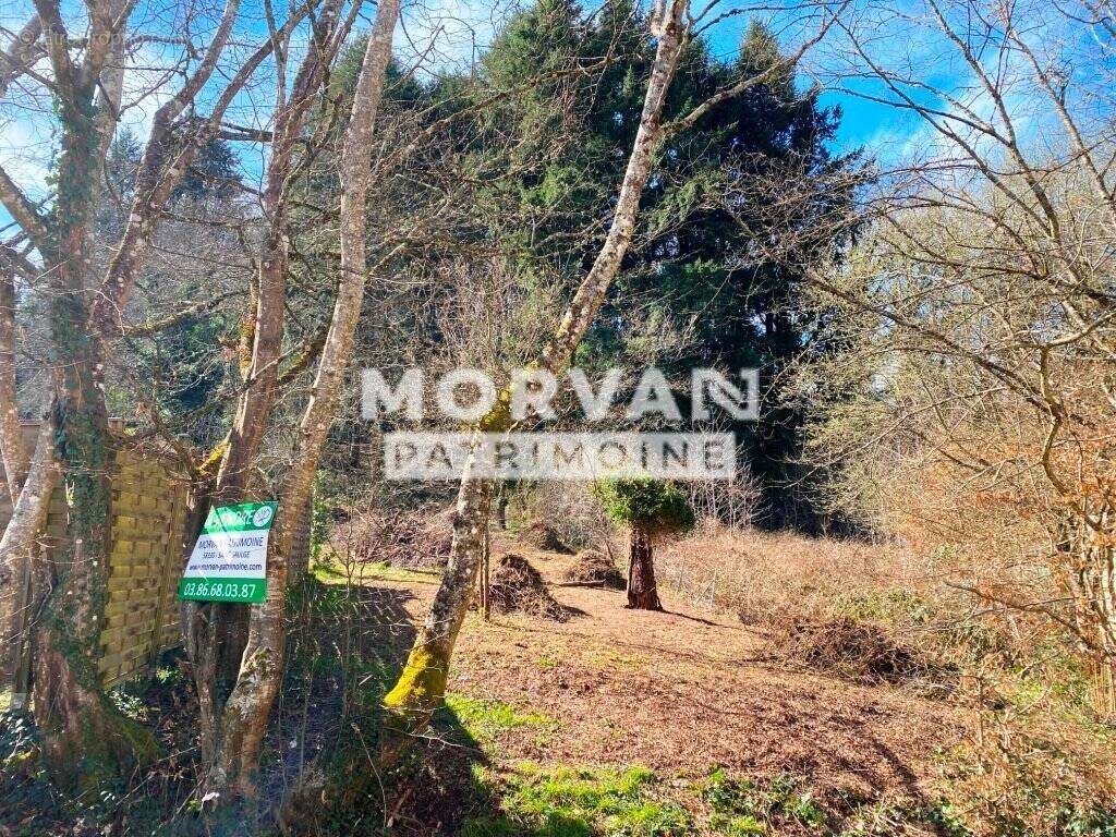 Terrain à SAINT-SAULGE