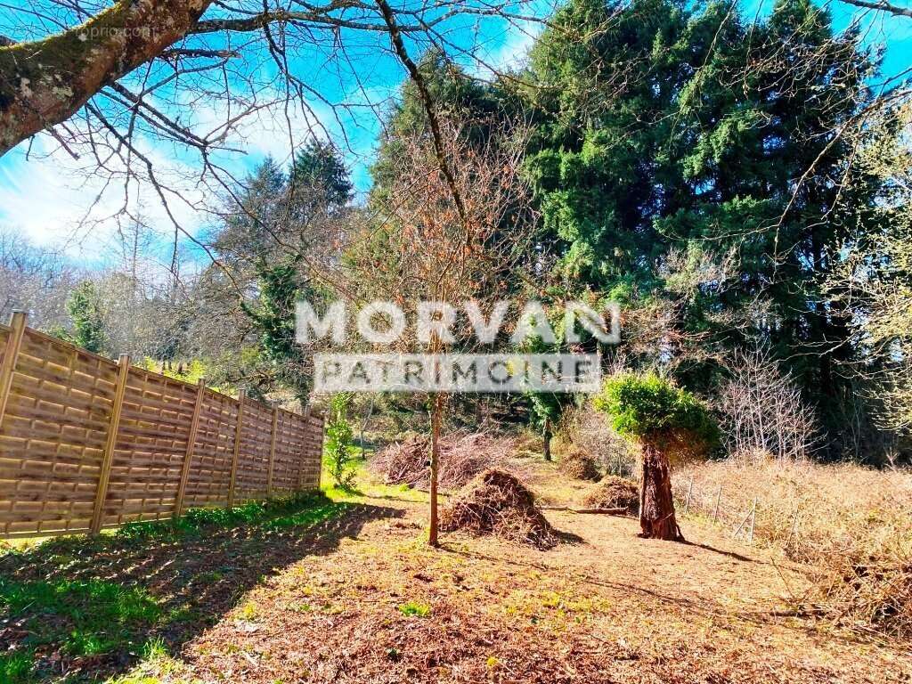 Terrain à SAINT-SAULGE