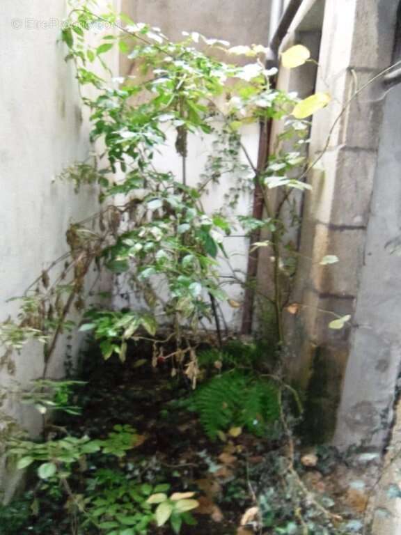 Maison à SAINT-SAULGE