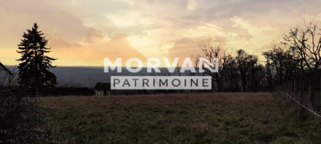 Terrain à SAINT-PEREUSE