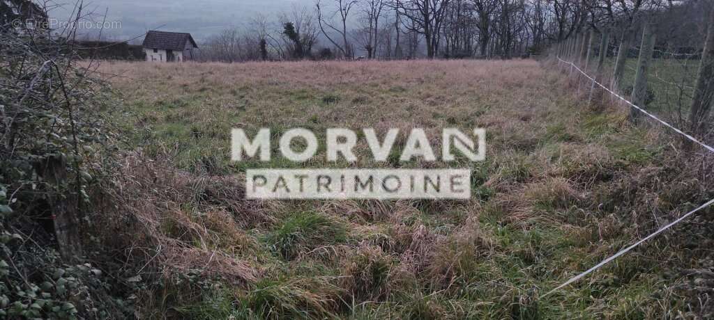 Terrain à SAINT-PEREUSE