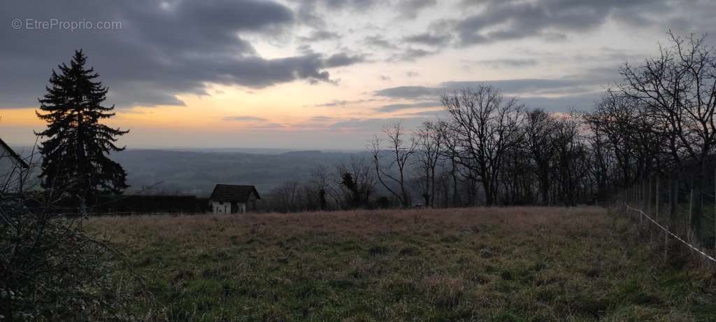 Terrain à SAINT-PEREUSE