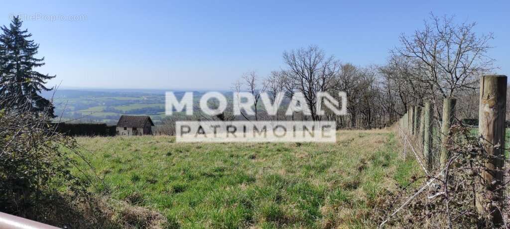 Terrain à SAINT-PEREUSE