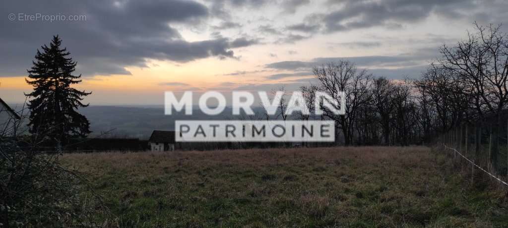 Terrain à SAINT-PEREUSE