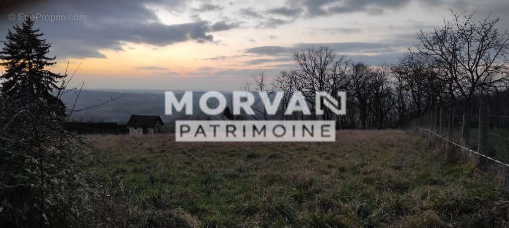 Terrain à SAINT-PEREUSE