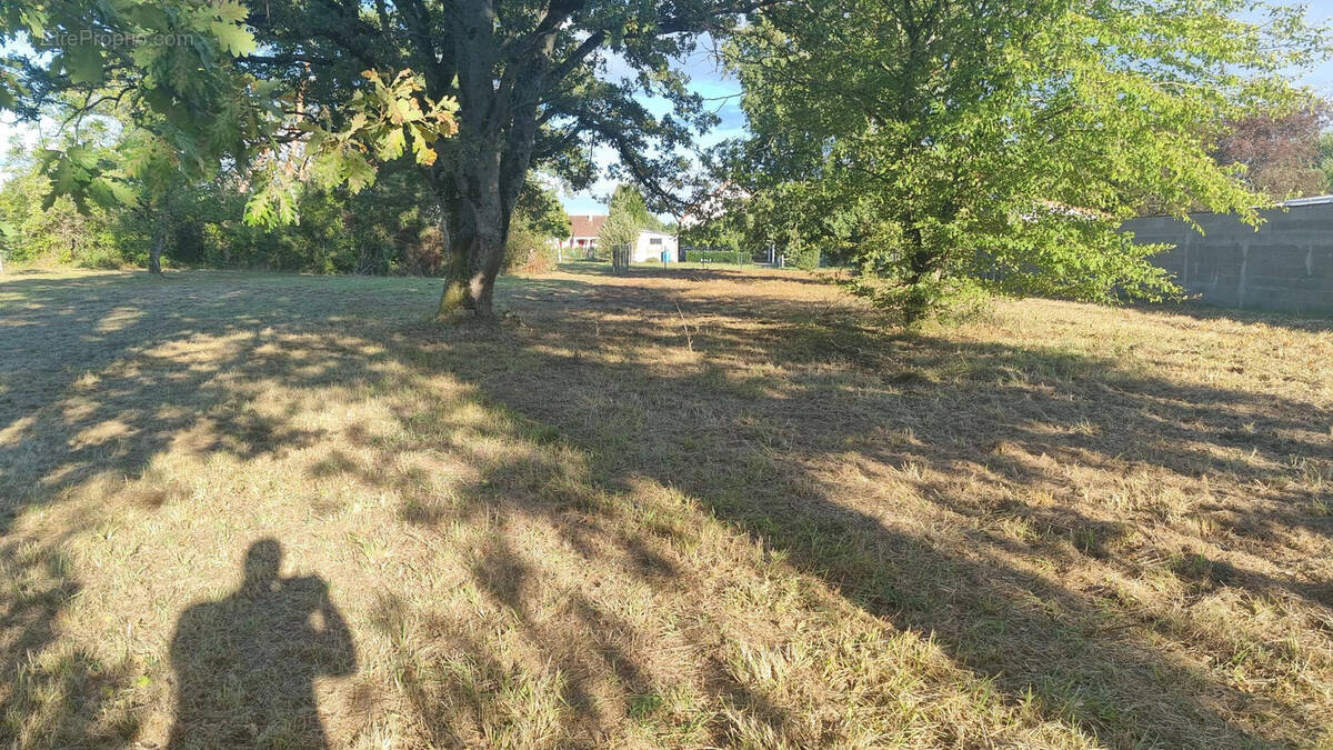 Terrain à VIERZON