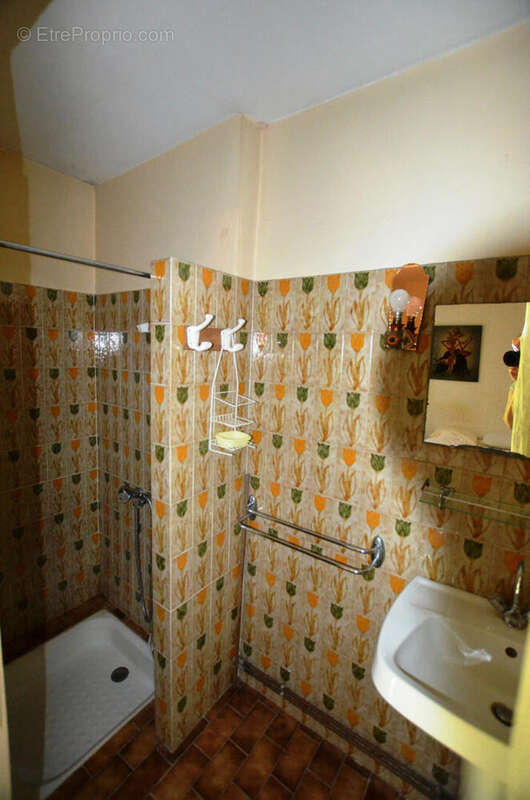Salle d'eau Shower Room - Maison à VIC-FEZENSAC