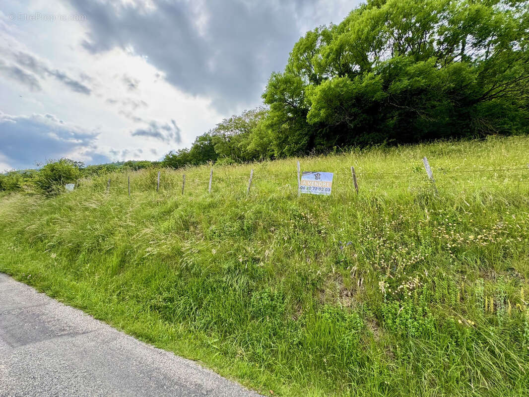 Terrain à LA CROIX-DE-LA-ROCHETTE