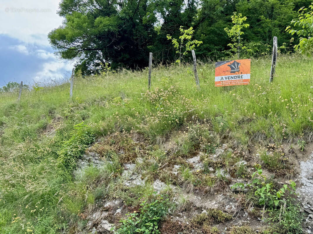 Terrain à LA CROIX-DE-LA-ROCHETTE