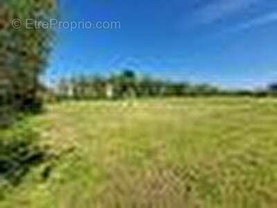 Terrain à LEGE