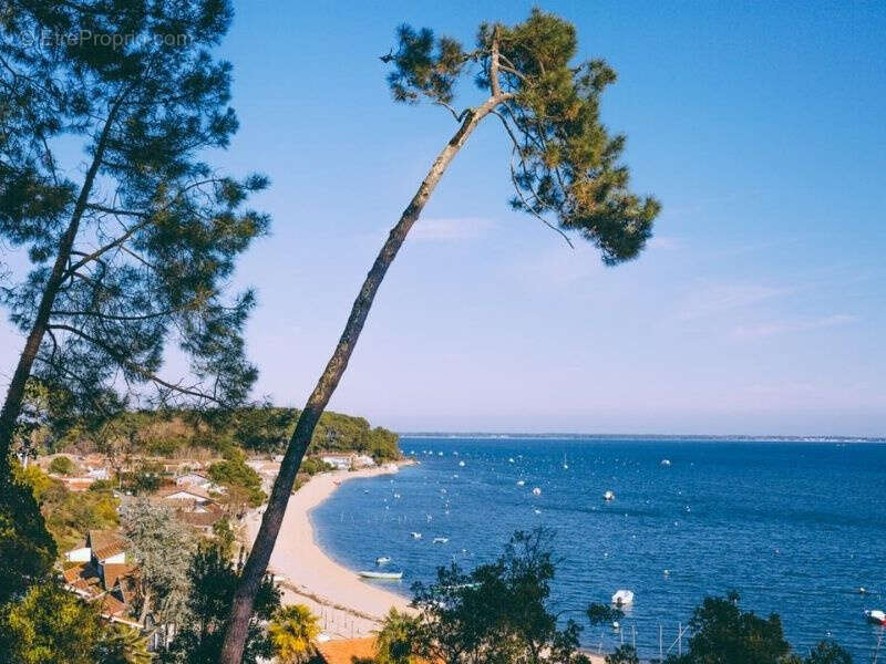 Maison à LEGE-CAP-FERRET