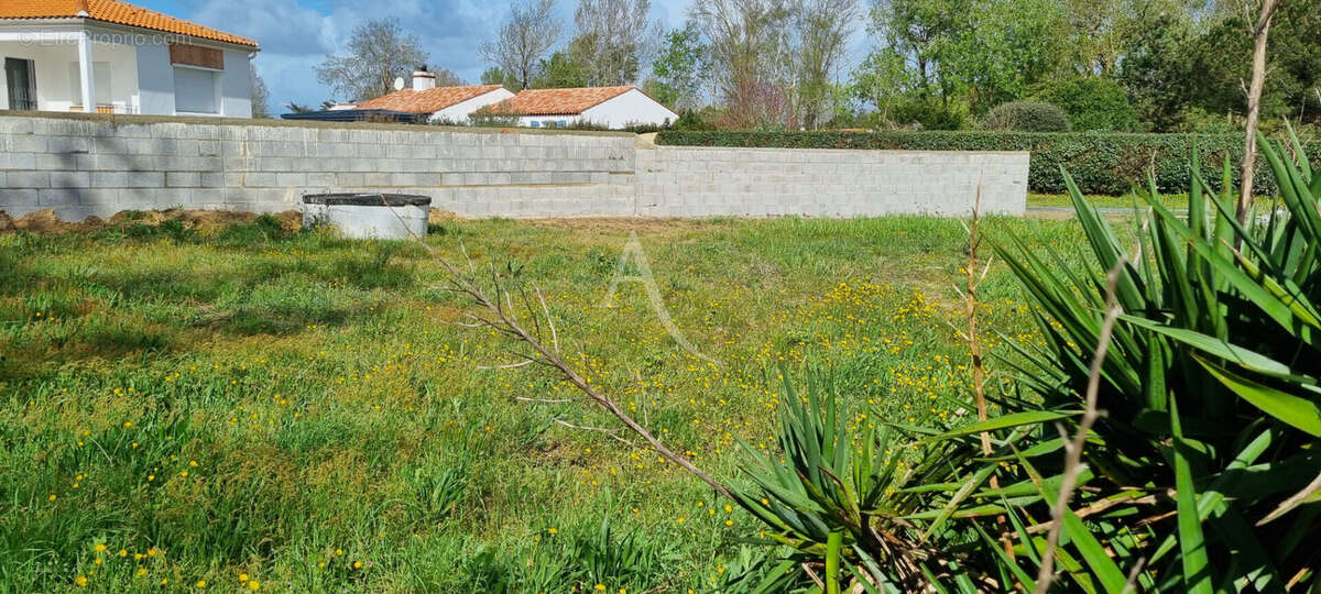 Terrain à SAINT-HILAIRE-DE-RIEZ