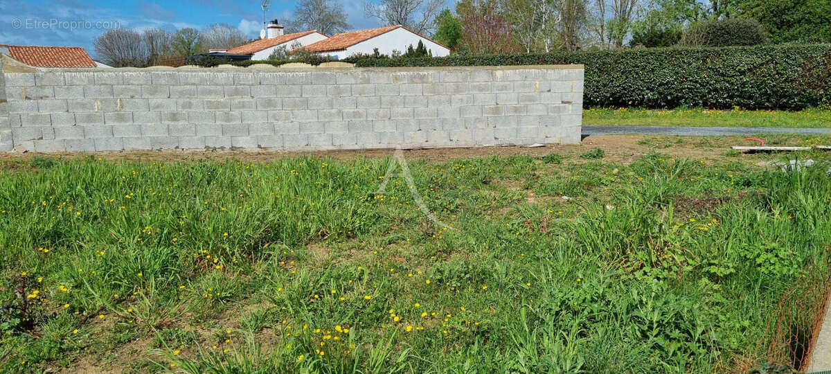 Terrain à SAINT-HILAIRE-DE-RIEZ