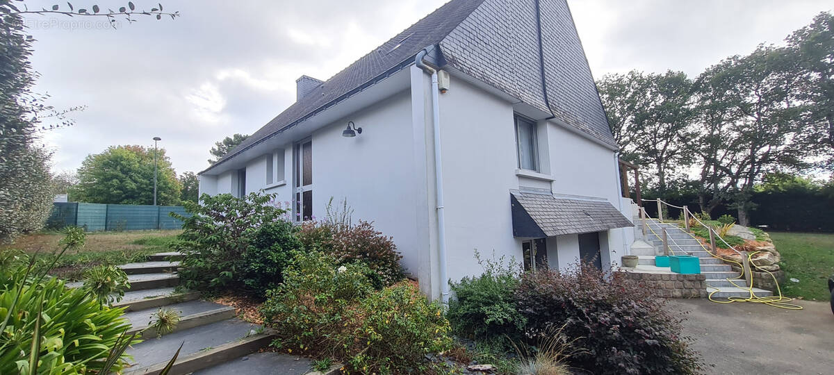 Commerce à SAINT-AVE