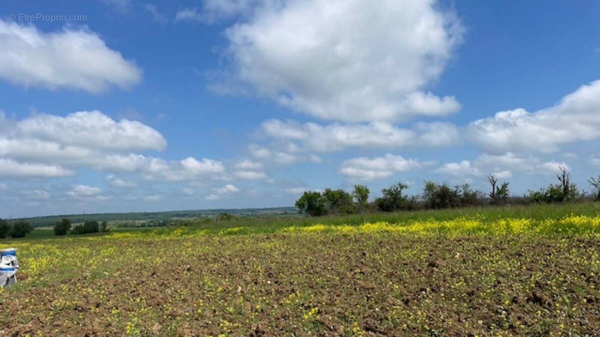 Terrain à HARAUCOURT