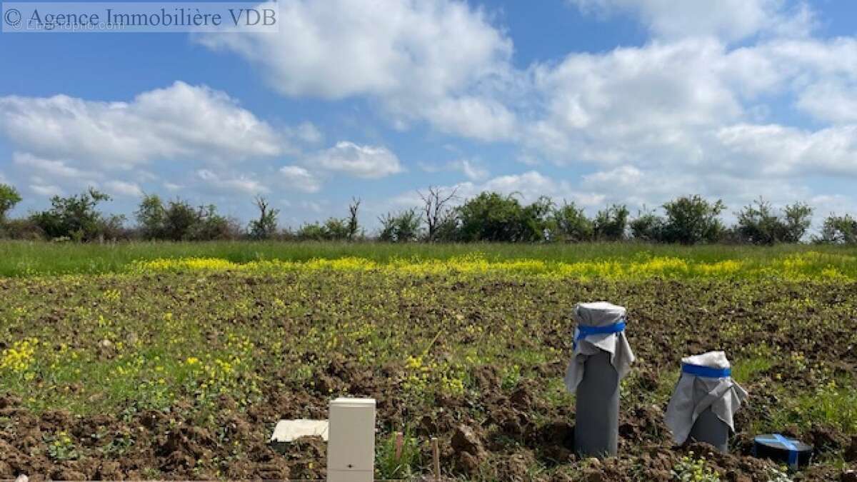 Terrain à HARAUCOURT
