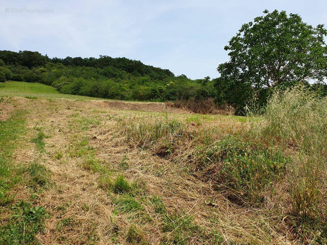 Terrain à CASTELNAU-D&#039;ESTRETEFONDS