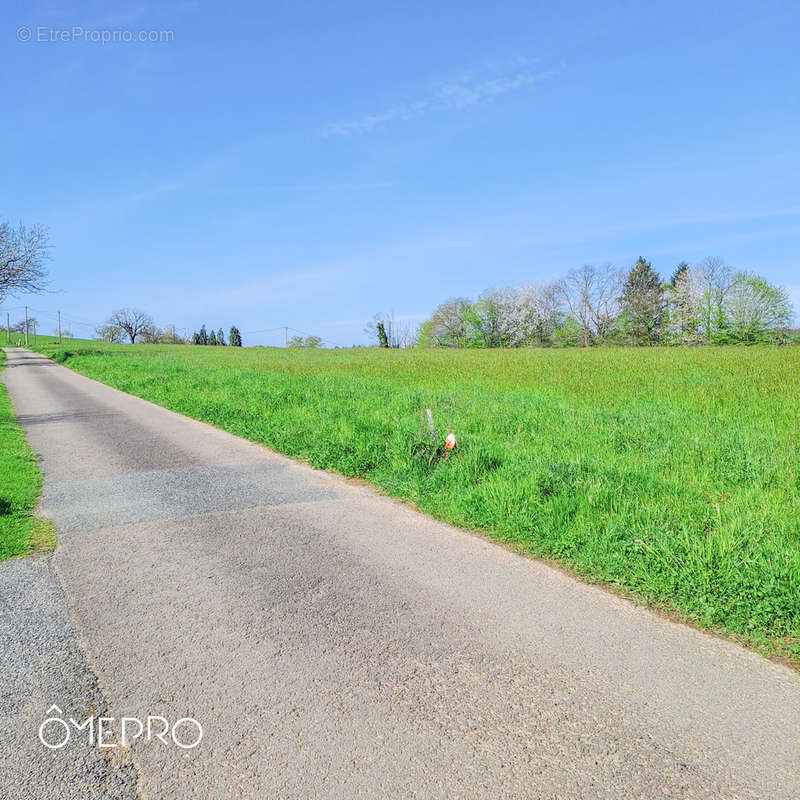 Terrain à SAINT-HILAIRE-PEYROUX