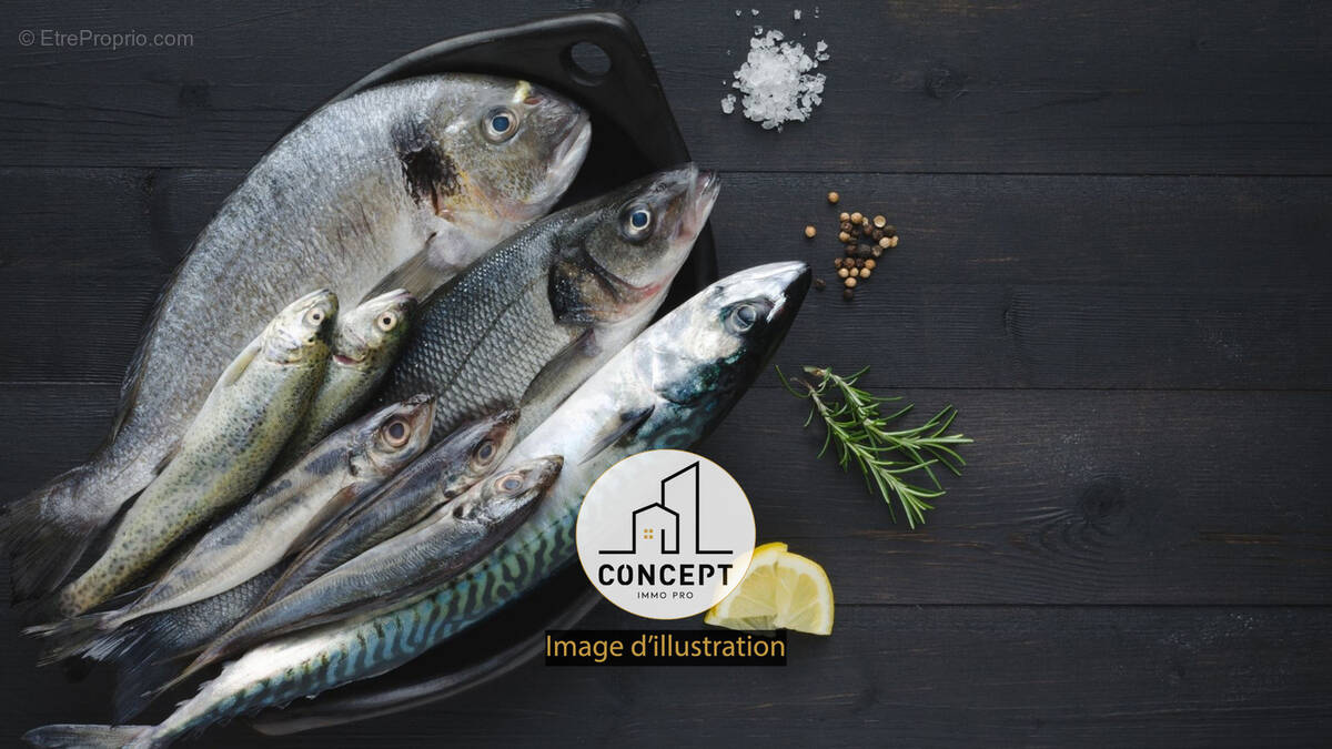 Commerce à CONCARNEAU