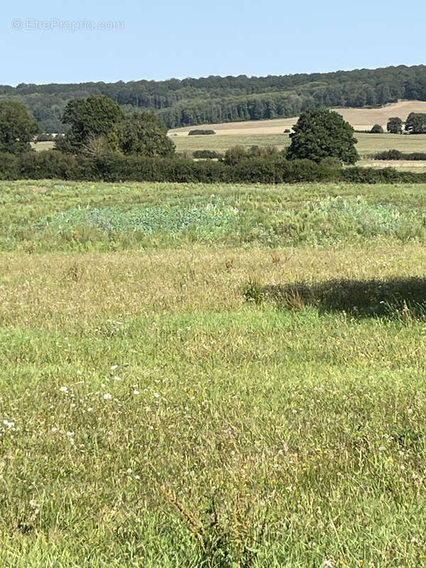 Terrain à BOULOIRE