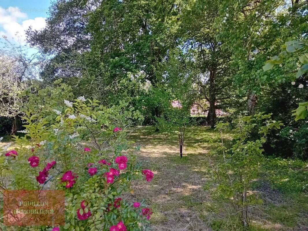 Maison à POUILLON