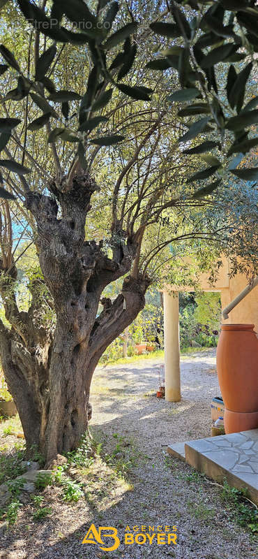 Maison à BANDOL