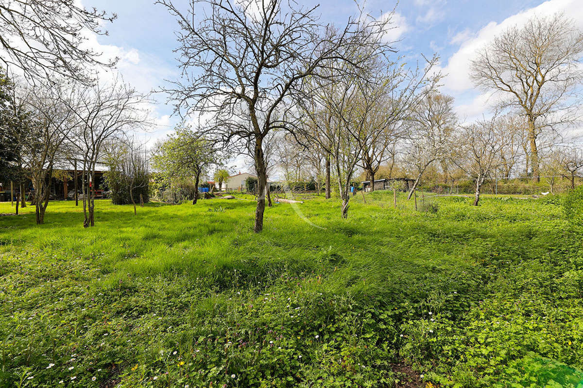 Terrain à VIEILLEVIGNE