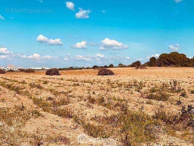 Terrain à PERPIGNAN